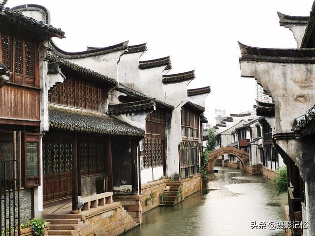 “清泉流齿怯初尝” 快来青神椪柑节体验苏东坡品橘之乐
